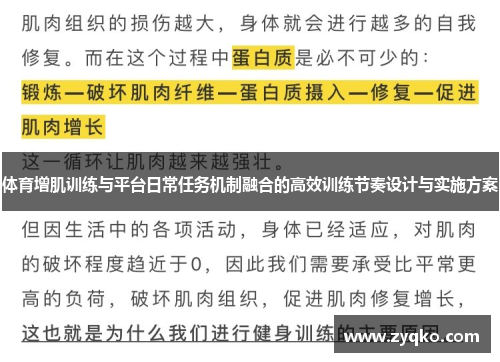 体育增肌训练与平台日常任务机制融合的高效训练节奏设计与实施方案