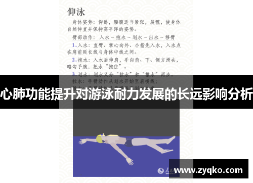 心肺功能提升对游泳耐力发展的长远影响分析