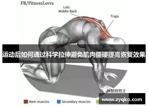 运动后如何通过科学拉伸避免肌肉僵硬提高恢复效果